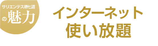 インターネット使い放題